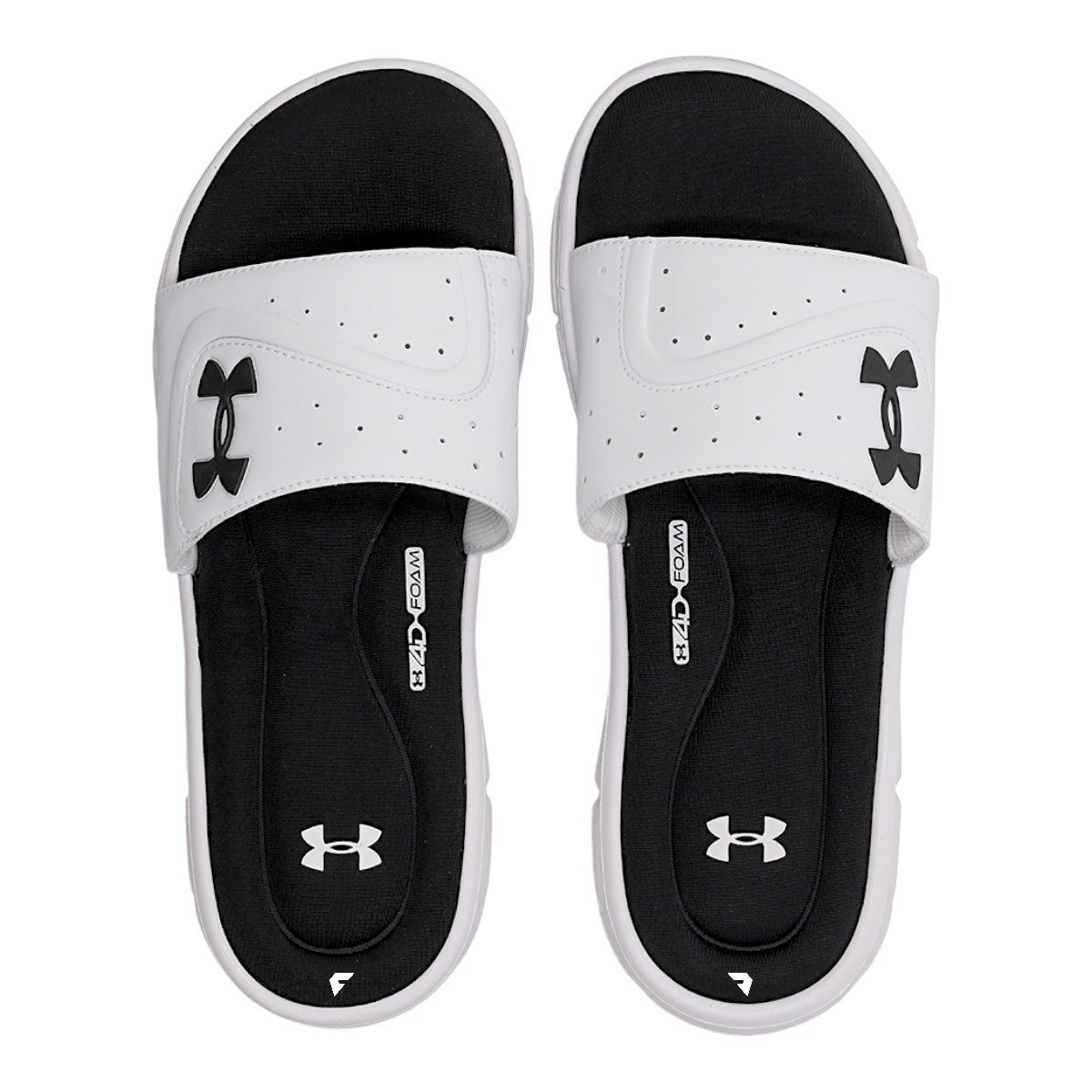 Chinelo Under Armour Ignite VI SL Se Masculino