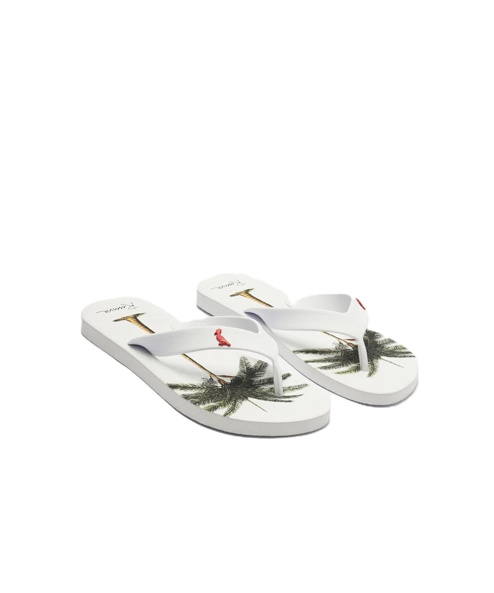 Chinelo Palmeira Reserva