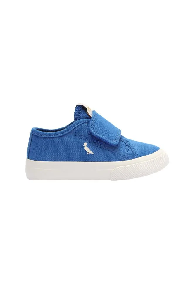 Cor Azul